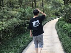 -逸廊大堂吧-下午茶·简餐-千岛湖自由洲际殿