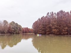 -上海海湾国家森林公园