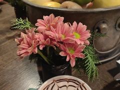 -Apollo·西班牙小酒馆(安福路店)