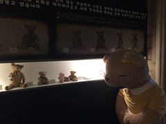 -济州岛泰迪熊博物馆
