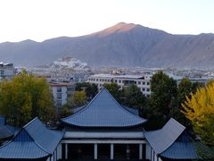 -拉萨瑞吉酒店-秀餐厅