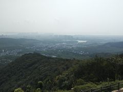 -旺山景区