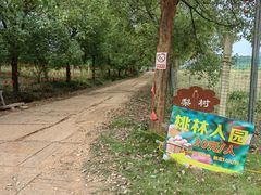 -梁子湖东篱老屋生态庄园