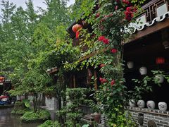 -青城甲(青城山店)