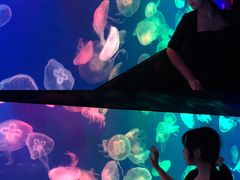 -成都浩海立方海洋公园