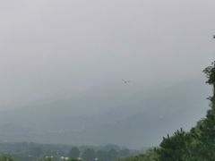 -十三陵水库