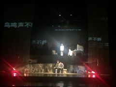 -合肥大剧院