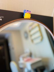 -哈颜科技轻美·