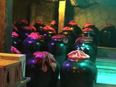 -云岭野山参风景区