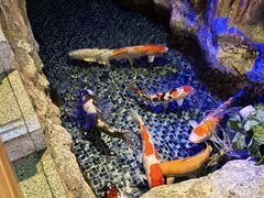 -沐熙汤泉(新安里店)