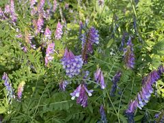 -秦岭风景区
