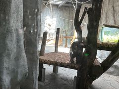-武汉动物园