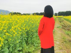 -光明小镇欢乐田园