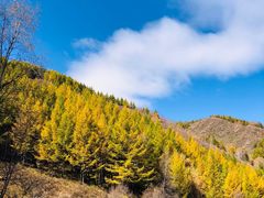 -苏木山森林公园