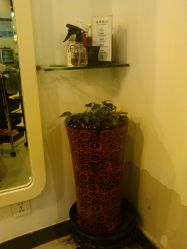 IMG_20120506_140245-DRG达人馆造型