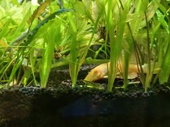 -上海海洋水族馆