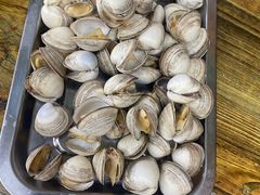 -赵老蒯土窑坑烤