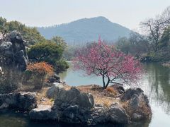-杭州西湖湖滨银泰亚朵酒店