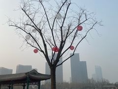 -西海子公园