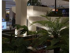 -国芳中心