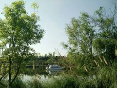 -白鹭湾湿地公园