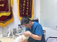 -仁普宠物诊所·中兽医·夜诊·狂犬免疫点(住友昌盛新苑店)