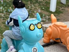 -荷兰花海
