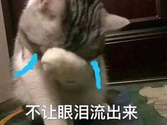 -长藤鬼校(龙翔店)