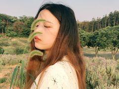 -大塘金香草谷