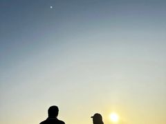 -东夷海鲜巨无霸(东夷小镇店)