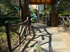 -上海崇明金茂凯悦酒店