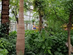 -南宫五洲植物乐园