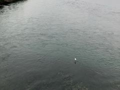 -黄河小浪底水利枢纽风景区