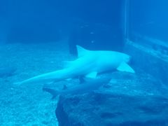 -多彩贵州城极地海洋世界