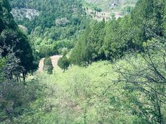 -四门塔风景区