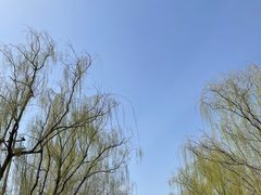 -元大都城垣遗址公园