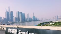 -上海首尔丽格医疗美容医院