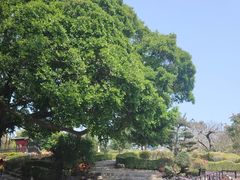 -胡里山炮台