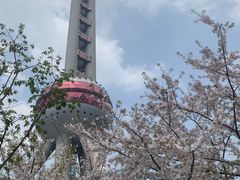 -东方明珠广播电视塔