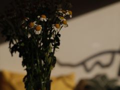 -五进制 Coffee Shop