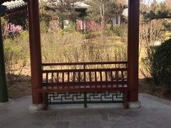 -迎泽公园