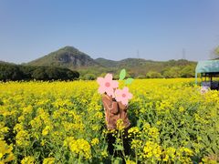 -八卦田遗址公园
