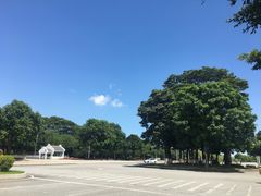 -南沙辉记烧鸡·荔枝木炭火吊烧(旧镇店)