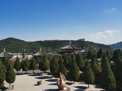-龙口南山旅游景区