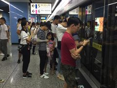 -大龙山(地铁站)