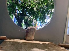 -喜识·冰糖葫芦·炒酸奶(西美花街店)