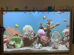 -瑞思英语·少儿英语启蒙(和平·国际商场示范校区)