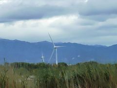 -野鸭湖国家湿地公园