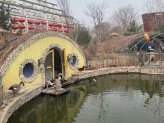 -南宫五洲植物乐园