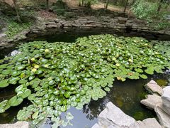 -良友·海鲜青岛菜(五四广场店)